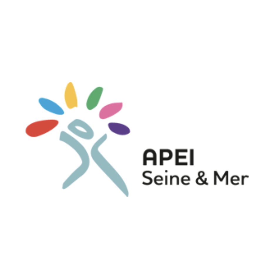 logo APEI Seine-Mer